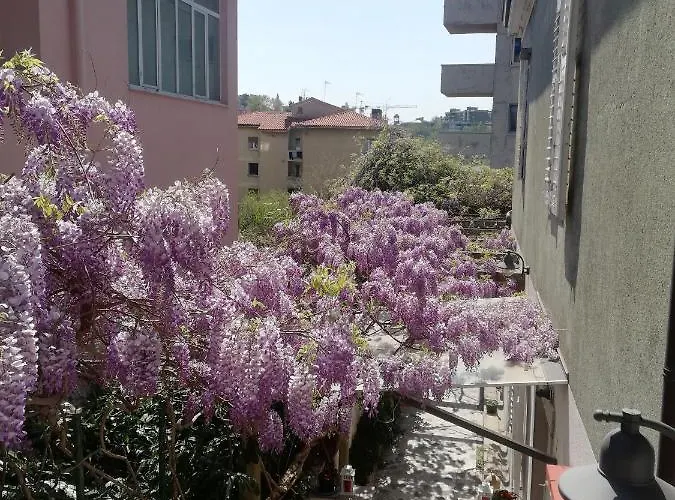 Grim Panzió Trieszt